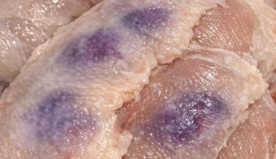 Purple Chicken Mystery Solved: A Home Cook’s Guide to Safe Poultry Handling