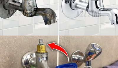Shower faucet full of limescale, how to clean it to make it new again