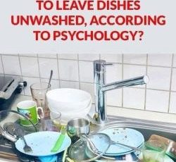 What Your Pile of Dirty Dishes Might Really Be Saying About You