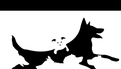 The number of dogs you see in this picture determines your mental age.